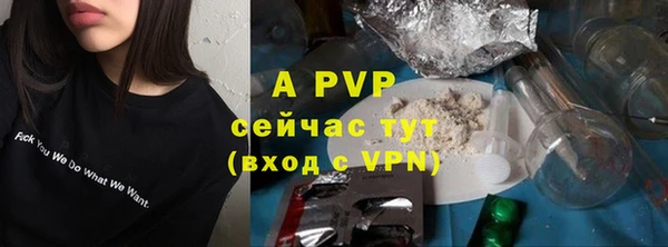ГАЛЛЮЦИНОГЕННЫЕ ГРИБЫ Дмитриев