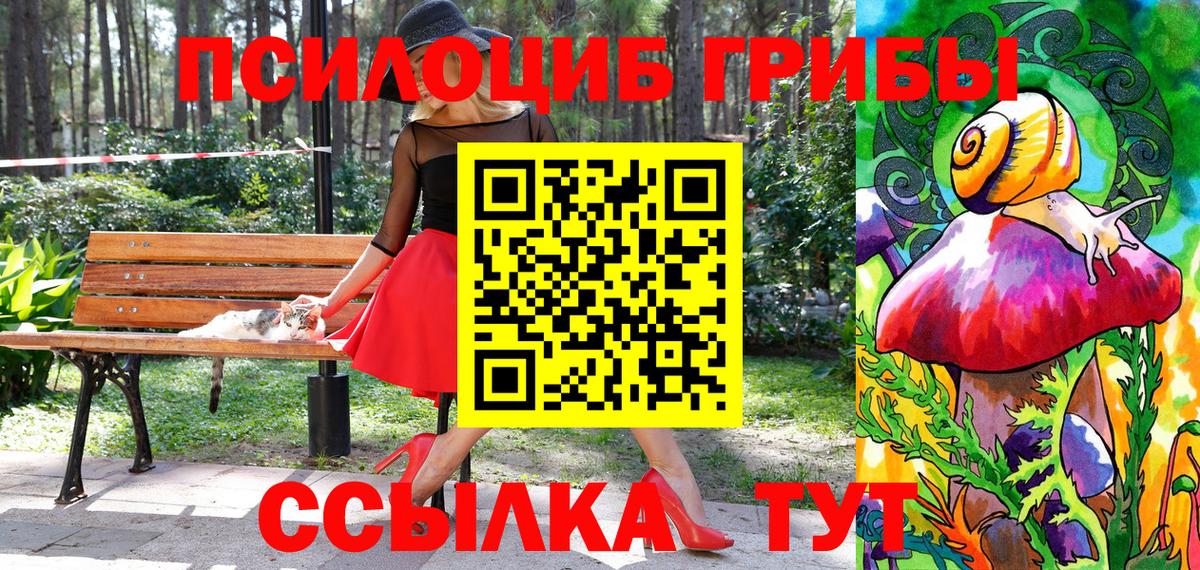 Галлюциногенные грибы прущие грибы  Псилоцибиновые грибы мицелий  Вятские Поляны  Вход с VPN 