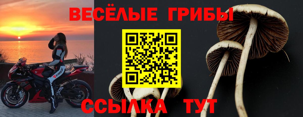 Галлюциногенные грибы ЛСД  купить   Вятские Поляны 